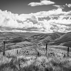 PÁRAMO DE ECUADOR