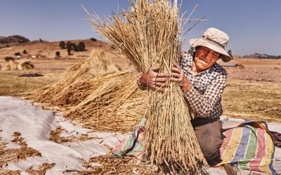 El Camino Evolutivo hacia un Mundo Humanista: Valores, Igualdad y Sostenibilidad