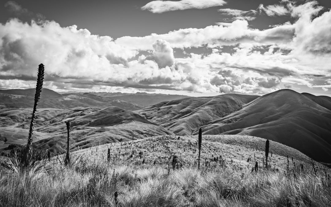 Cordillera Tropical