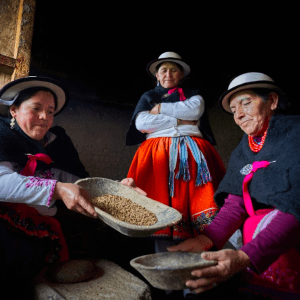 MUJERES KICHWA MOLIENDO MACHICA